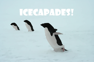 play Icecapades