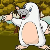 Games2Jolly White Mole Animal Escape