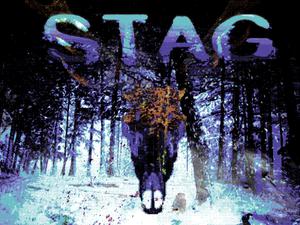Stag (Sound Novel)