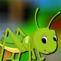 play Avm-Rescue-The-Grasshopper