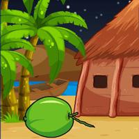 play G2J Tawny Owl Escape From Hut