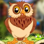 play Palani Audacious Owl Escape