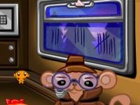 play Monkey Go Happy Stage 507