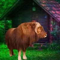 play Musk Ox Forest Escape Html5