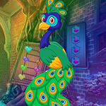 Exquisite Peacock Escape