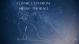 play Cosmic Cats From Meow-Ter Space