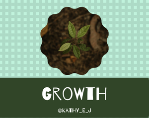 play Growth