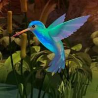 Beg Doctor Bird Forest Escape Html5