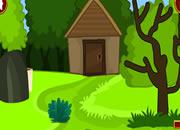 play Squirrel Farm Escape