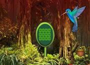 play Doctor Bird Forest Escape