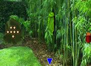 play Grove Bamboo Forest Escape