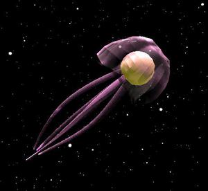 play Stars Of The Scyphozoans