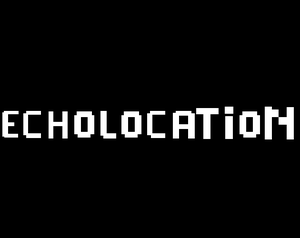 play Echolocation