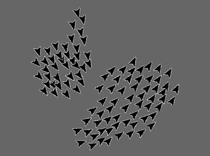 play Boids
