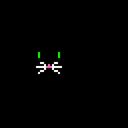 play Kitten Maze