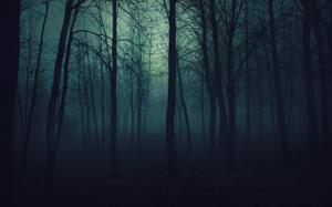 play Forest Of Night