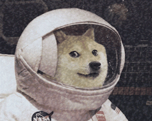 play Doge To The Moon!