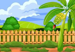 play Banana Farm Escape