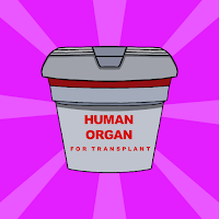 play G2J Find The Human Organ Escape