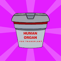 G2J Find The Human Organ Escape