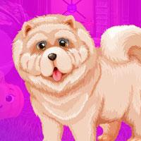 play G4K-Curious-Dog-Escape