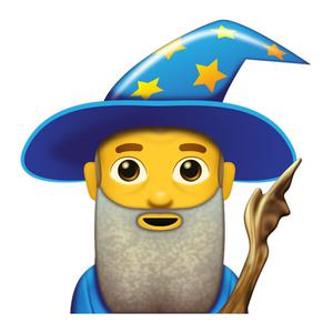 play Wizard Item Collection