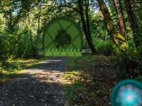 play Pond Forest Escape