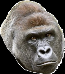 play Orangutan Battle Simulator Demo