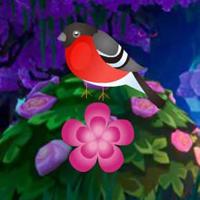 G2R Sparkles Gems Peafowl Escape Html5