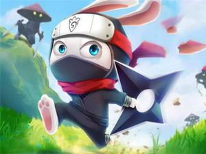 play Ninja Rabbit