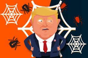 play Spider Trump