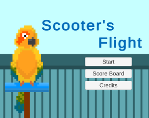 Scooter'S Flight