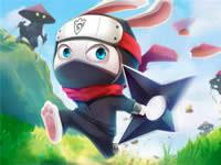 play Ninja Rabbit