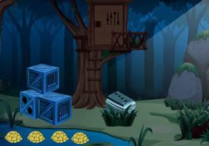 play Jungle Tortoise Escape