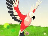 play Parrot Simulator