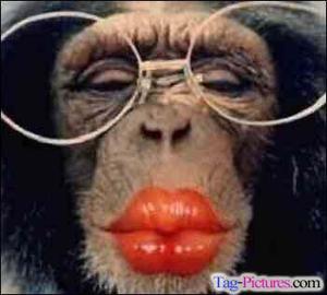 play Funny Monkey