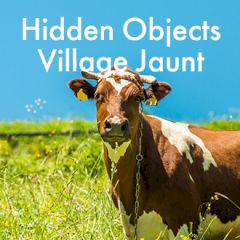 play Hidden Objects Village Jaunt