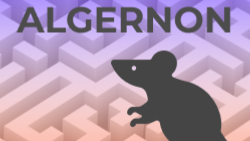 play Algernon