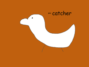 play Pea Catcher