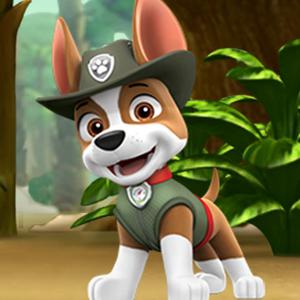 Paw Patrol Tracker'S Jungle Rescue