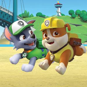 play Paw Patrol Playground