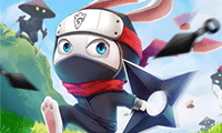 play Ninja Rabbit