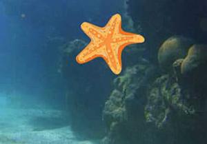play Ocean Treasure Escape