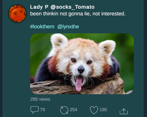 play Social Randos