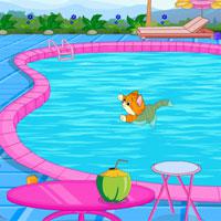 play Cat-Escape-From-Swimming-Pool