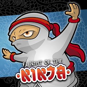 Flight Of The Ninja