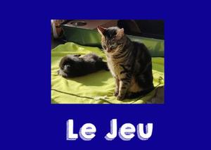 play Jeu De Mugi Wara