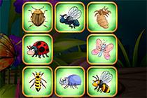 play Insects Bumping Match