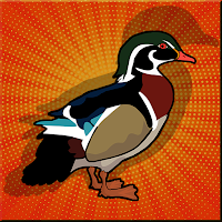 play G2J Wood Duck Escape