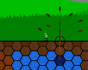 play Xylem And Phloem